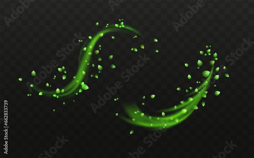 Herbal vector with herbaceous mint leaves on a transparent background. Spring green lime or tea leaves.Flying greenish leaves in the wind.Vector realistic illustration of air vortex.Concept of bloomin