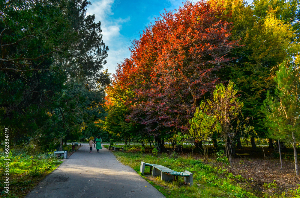 walkway in Tashkent Botanical Garden during fall season (Tashkent, Uzbekistan) walkway in Tashkent Botanical Garden during fall season (Tashkent, Uzbekistan)