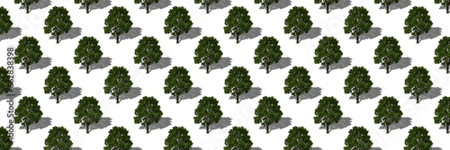 Seamless pattern of trees with shade isolated on a white background. Green maple.