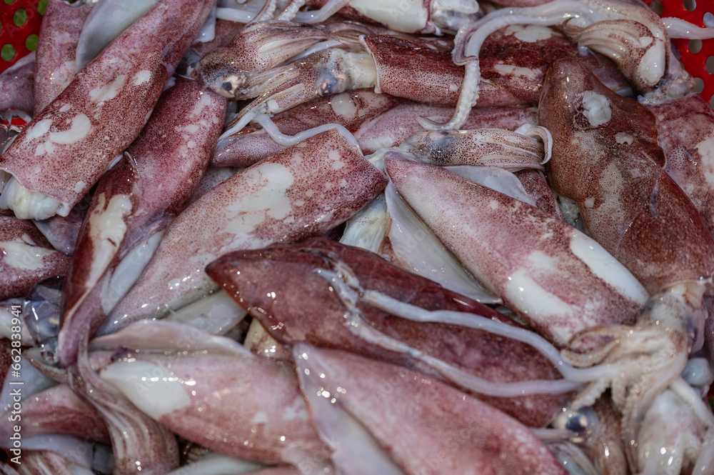 commerce, tentacle, fish market, uncooked, close up, Lots of Squid, for sale in a Vietnamese wet market, in Hanoi commerce, tentacle, fish market, uncooked, close up, Lots of Squid, for sale in a Vietnamese wet market, in Hanoi
