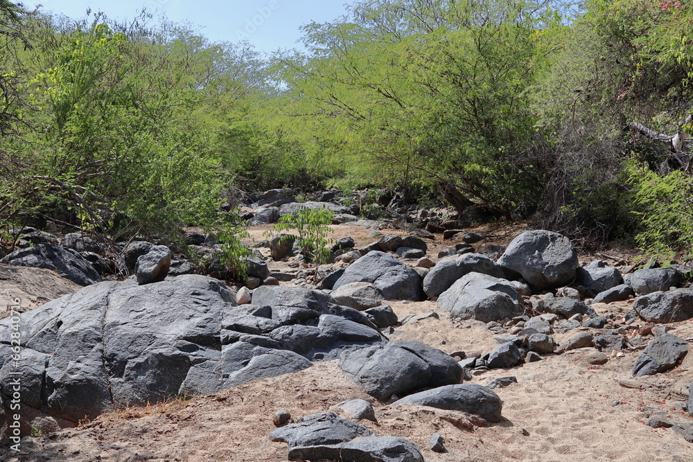 Dry stream bed with rocks and sand and vegetation on the edges Dry stream bed with rocks and sand and vegetation on the edges