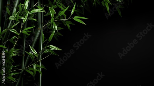 Green Bamboo Leaves on Black Background