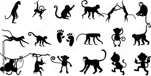 Monkey Vector Illustration - A dynamic, black silhouette collection of monkeys in various actions and poses. Perfect for jungle, wildlife, zoo, safari, or tropical themes
 photo