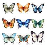 set of butterflies On a transparent background PNG