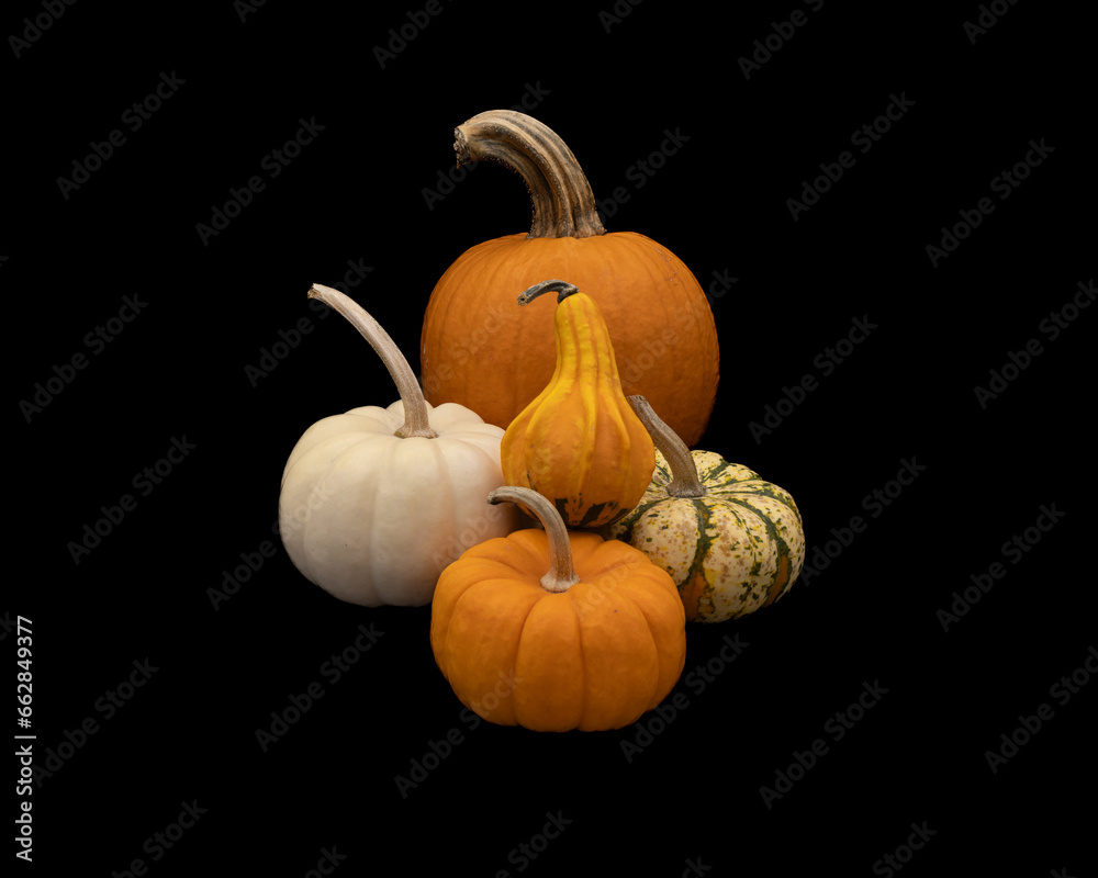 four pumpkins and a gourd on a black background four pumpkins and a gourd on a black background
