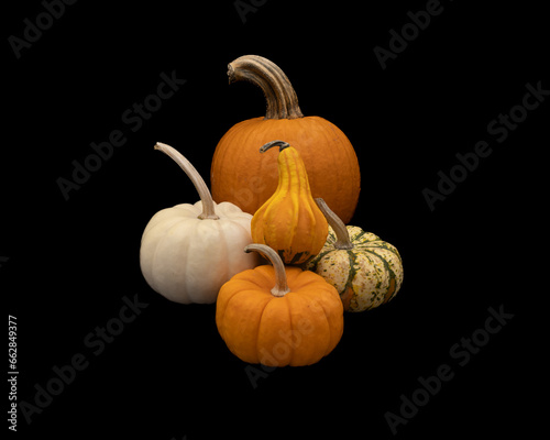 four pumpkins and a gourd on a black background