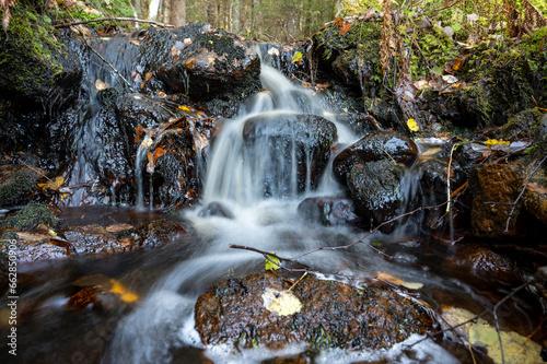 Closeup of water stream through autumn forest