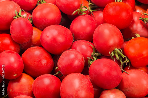 Freshly harvested red round tomatoes in container  fragment close-up