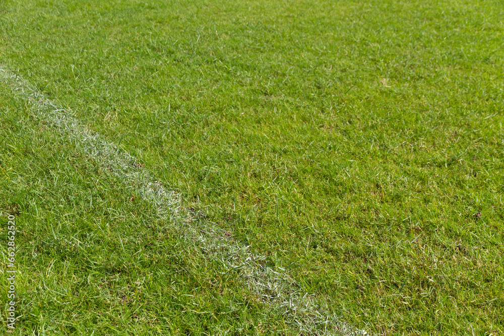 artificial grass at the soccer stadium