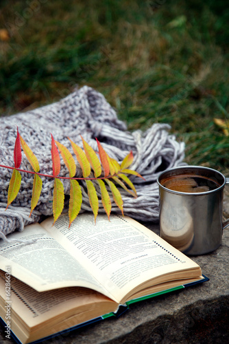 A cup of coffee on a background of books and a blanket. Composition of a mug of coffee, flowers, books and a blanket in nature.