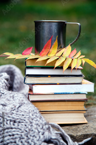 A cup of coffee on a background of books and a blanket. Composition of a mug of coffee, flowers, books and a blanket in nature.