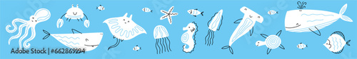 Vector collection of marine life hand-drawn in doodle style