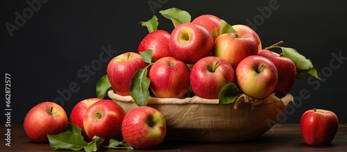 basket with apples With copyspace for text