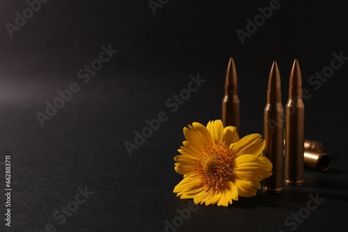 Bullets and beautiful flower on black background. Space for text