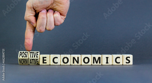 Positive or normative economics symbol. Concept words Positive economics Normative economics on blocks. Beautiful grey background. Businessman hand. Business Positive normative economics concept.