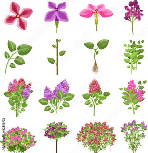 Lilac icons set cartoon vector. Blossom plant. Flower spring botany