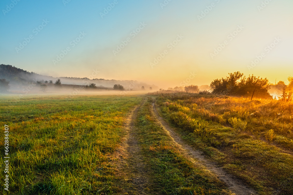 Beautiful landscape with a road in a meadow in the countryside. Fog near the forest on a sunny summer morning