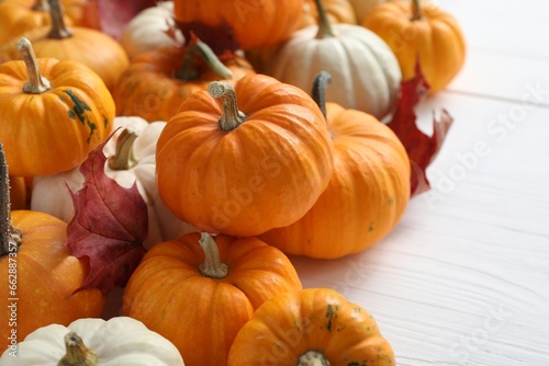 Thanksgiving day. Beautiful composition with pumpkins on white wooden table, closeup