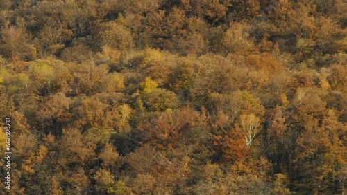 Tessiner Malcantone im Herbst 20 photo