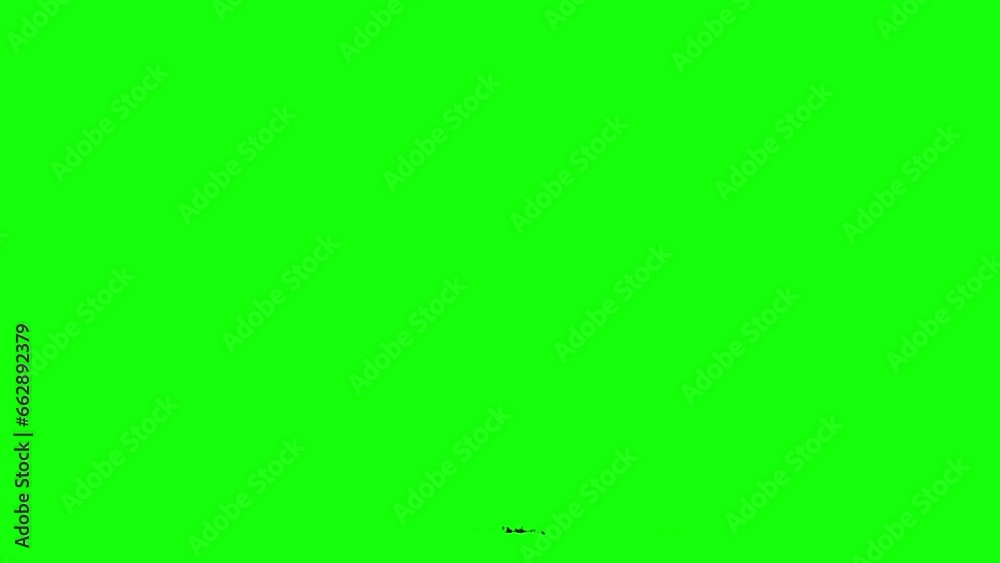 Animated self-drawing brushstroke hand drawn icon design element isolated on chroma key green background Animated self-drawing brushstroke hand drawn icon design element isolated on chroma key green background