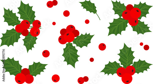 Christmas holly berry vector icon, mistletoe and leaf, red ilex branch, xmas plant isolated on white background. Cartoon holiday illustration