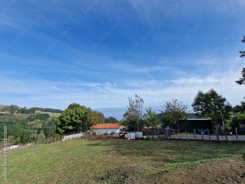 landscape, background landscape, background