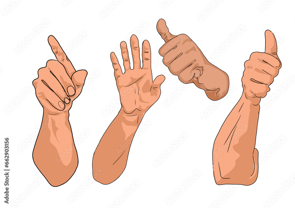 some forms of human hand gesture, without background some forms of human hand gesture, without background