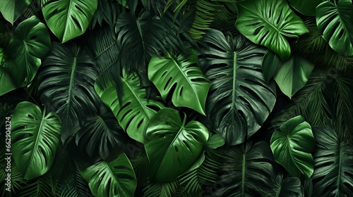 A collection of various tropical leaves artistically arranged  creating a visually striking and dynamic composition.