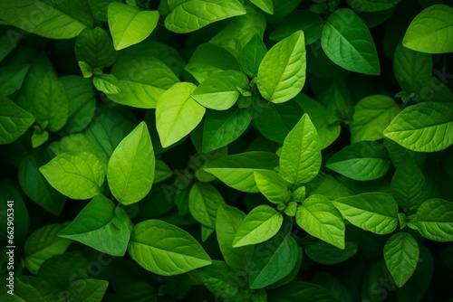 background of fresh green leaves. Generative AI © Aeris