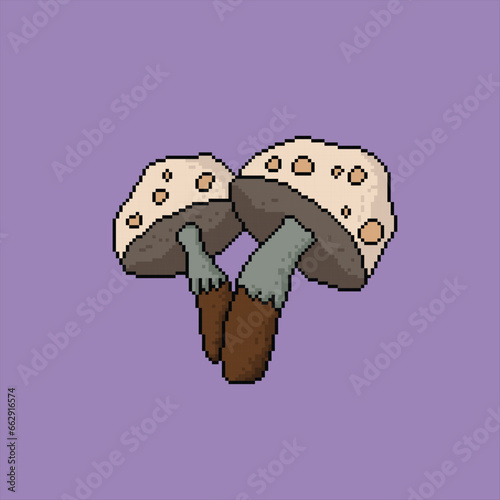 mushroom pixel art design, graphic resource, Illustration