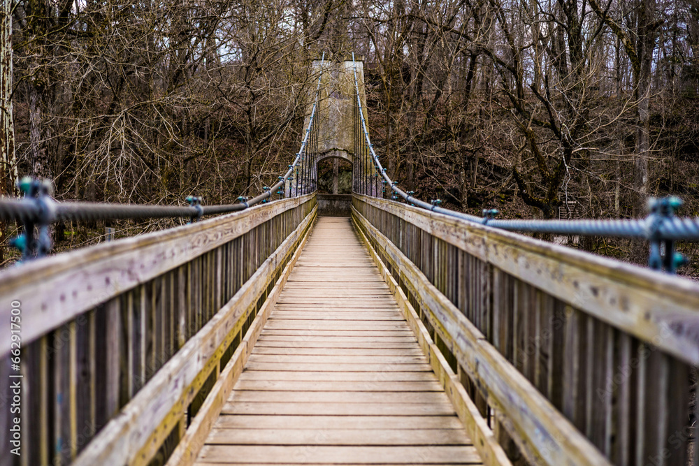 bridge in the forest