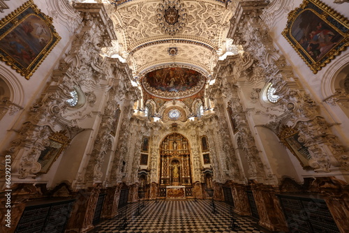 Monasterio de la Cartuja, Granada, España photo