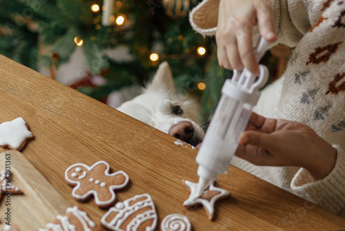Hands decorating gingerbread cookies with icing and cute dog helping tasting and licking sugar paste on background of christmas golden lights. Atmospheric Christmas holidays, pet and family time photo