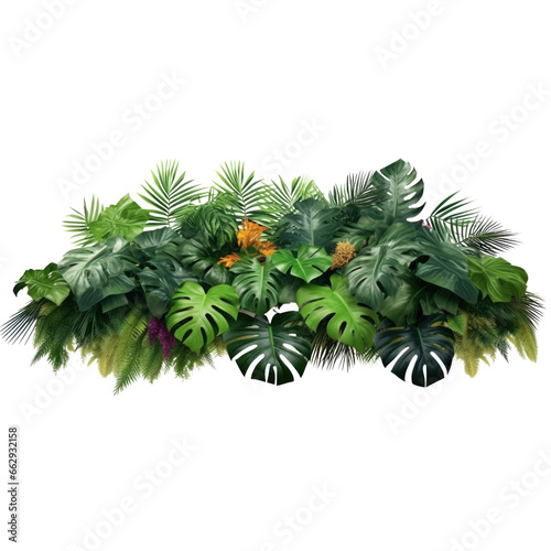 Tropical leaves  palm tree leaves isolated on transparent background