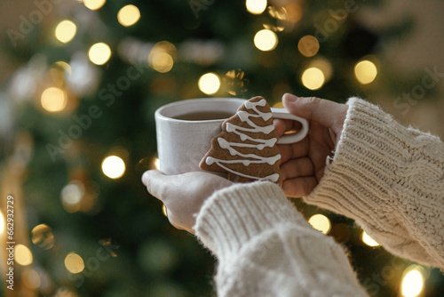 Merry Christmas! Hands in sweater holding warm cup of tea with gingerbread cookie against moody christmas tree with golden lights bokeh. Atmospheric Christmas holidays, winter hygge