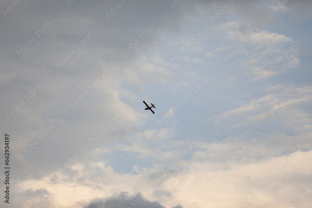 birds in flight birds in flight