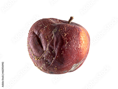 rotten apple fruit isolated on white. side view rotten apple on a white background photo