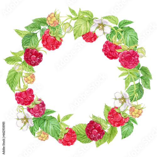 Raspberry wreath on a transparent background. Watercolor Ripe red berries, flowers, branches and leaves. Watercolor frame for the design of cards, invitations, stickers, labels.