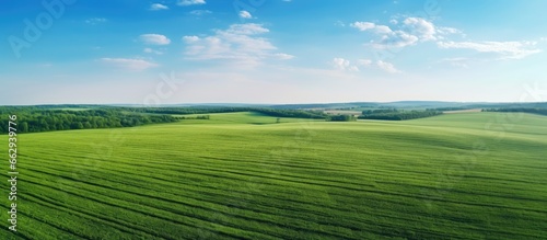 Aerial drone view of a beautiful agricultural landscape with plowed and sown fields With copyspace for text