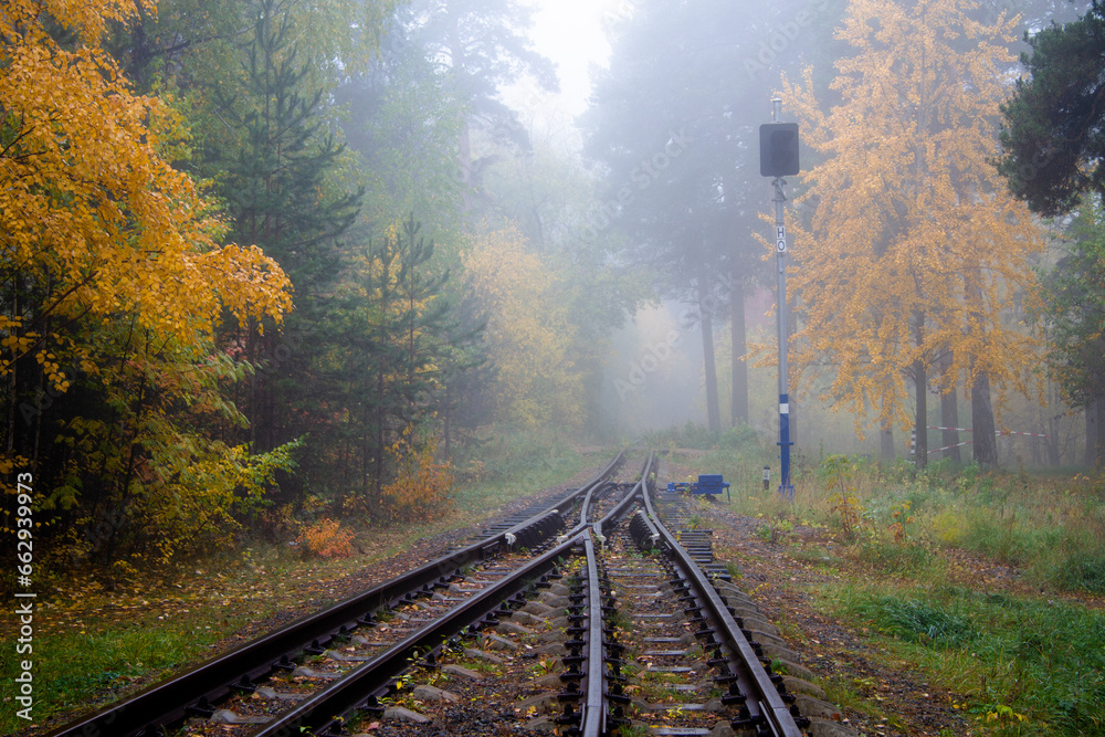 Abandoned railway in the woods in the morning in the fog Abandoned railway in the woods in the morning in the fog