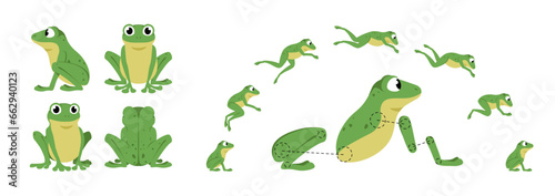Funny Jumping Frog. Cartoon animation sequence. Side and front view of cute aquatic animal. Jump process elements. Isolated on white moving green toad. Set of vector illustrations for animation © Rudzhan