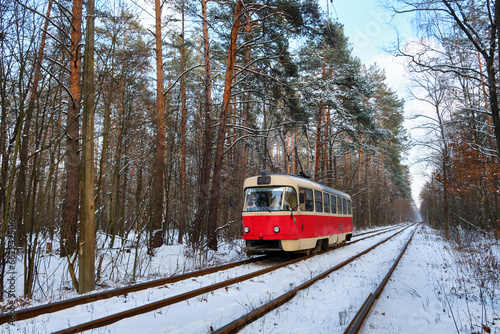 Winter Tranquility: The Scarlet Tram in a Snowy Forest