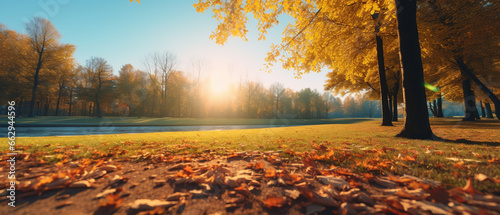 Beautiful autumn landscape with yellow leaves and sun Colorful foliage in the park Falling leaves natural background. Generative AI © AdlerTorres