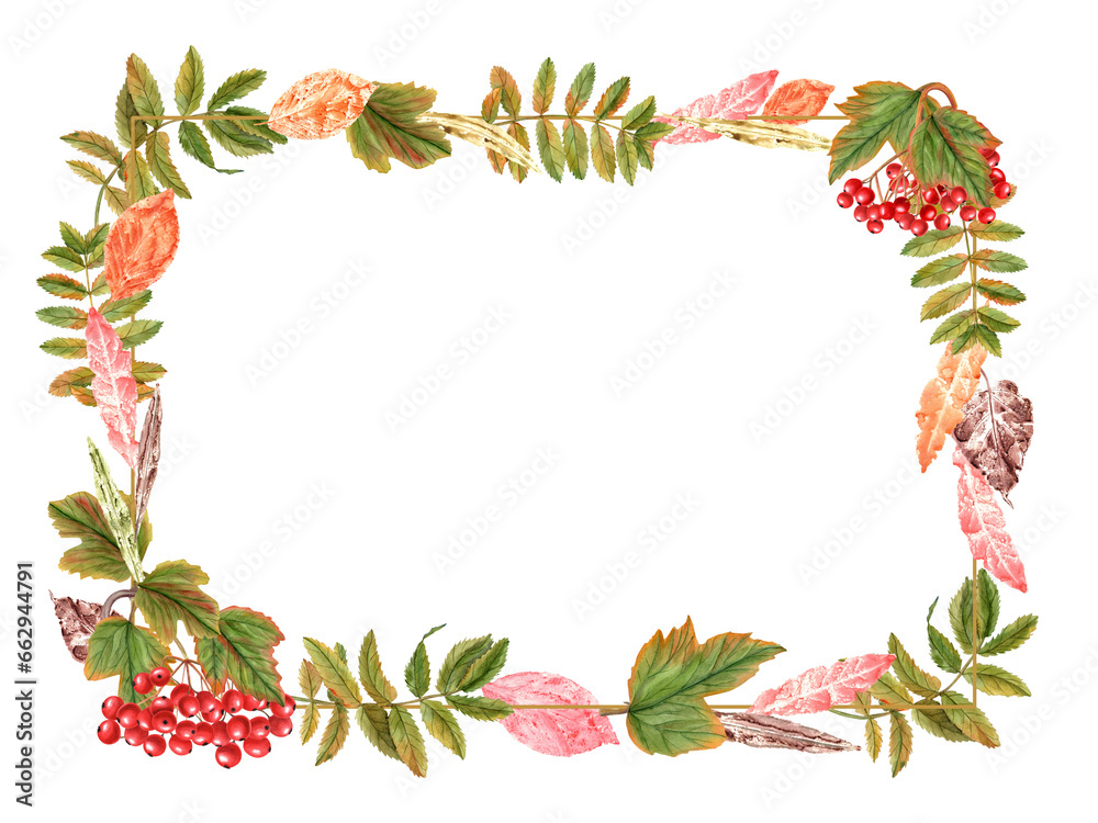 Horizontal frame with autumn leaves and bunch of ripe viburnum berries, rowan berries. Guelder rose, Sorbus aucuparia, mountain-ash, quick beam. Watercolor illustration. Space for text
