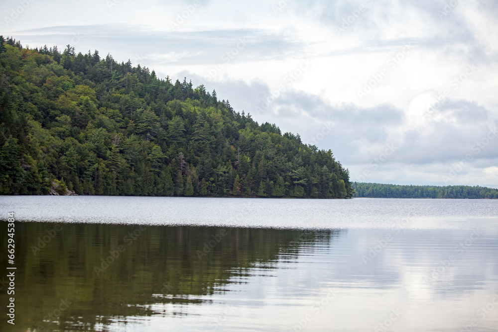 Obraz premium Pine Trees on Island in Long Pond in Maine