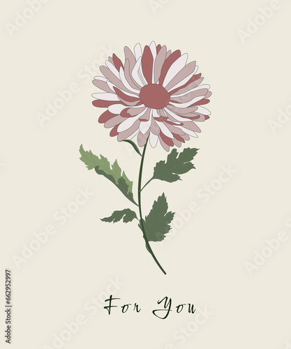 Aster flower in bed colors. You can use the illustration to decorate clothing, bags, dishes, candles and more