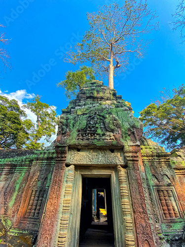 Ta Prohm, a mysterious temple of the Khmer civilization, located on the territory of Angkor in Cambodia photo