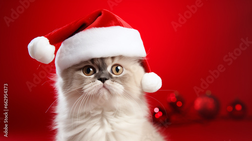 Cat in Santas hat isolated on red background Christmas background. Generative AI