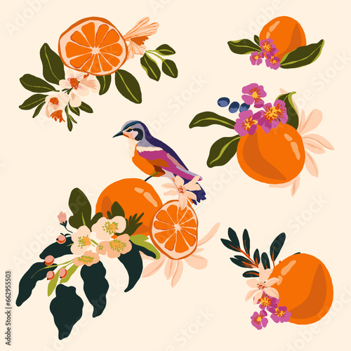 Vector Citrus Orange Branch Bouquet Italy White Flowers Peonies Roses Inflorescences Harvest Bird