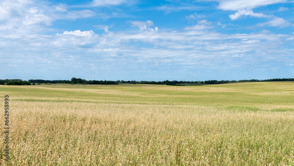 Panoramic view of the fertile countryside with different crops in the fields of rural west central Minnesota, United States.
